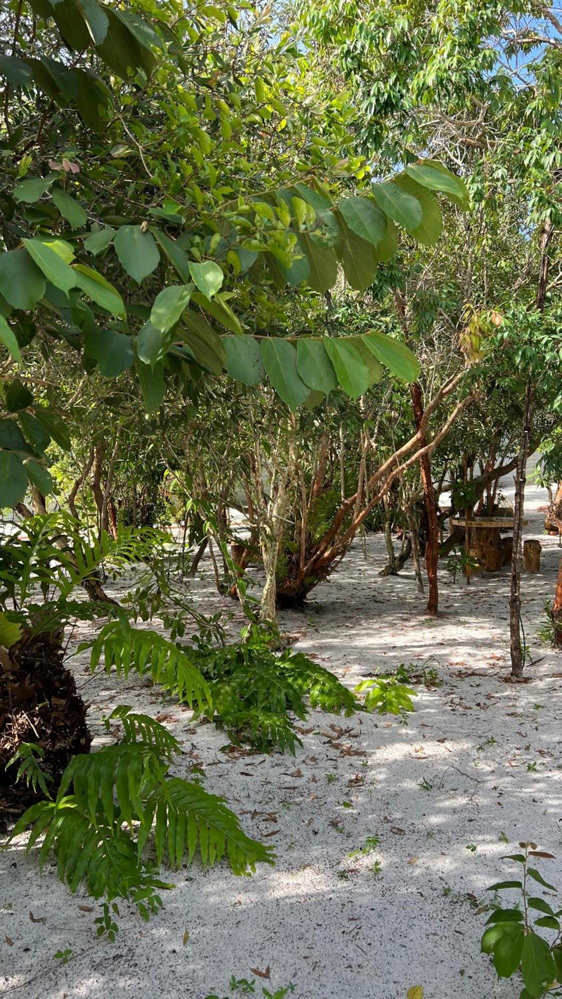 Golden Chenang Village Pantai Cenang  Εξωτερικό φωτογραφία