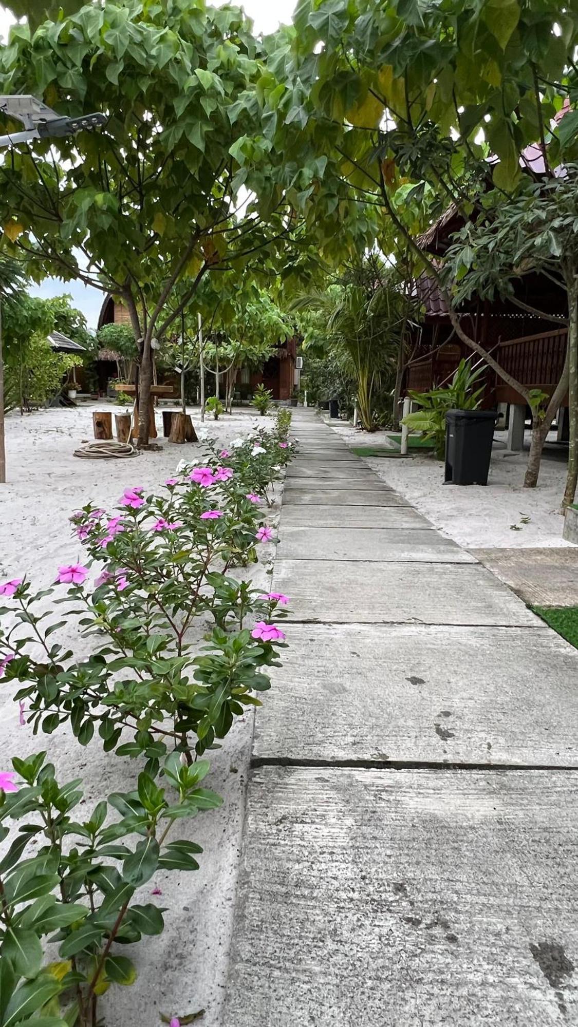 Golden Chenang Village Pantai Cenang  Εξωτερικό φωτογραφία